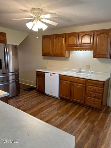 221 North Irish Street, Greeneville, TN 37745