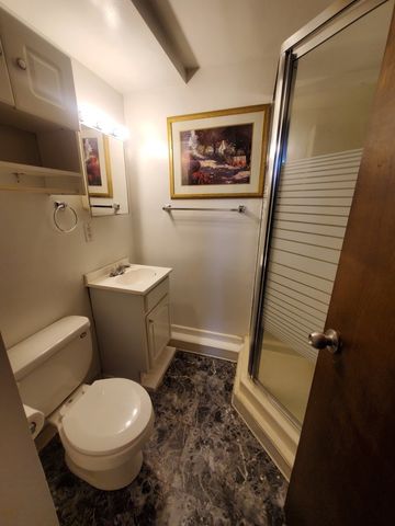 450 E MULBERRY Court, Glenwood, IL 60425