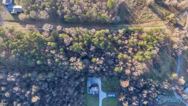 5.58 ac Rachel Drive, Langston, AL 35755