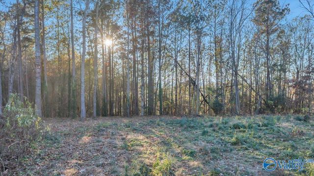 5.58 ac Rachel Drive, Langston, AL 35755