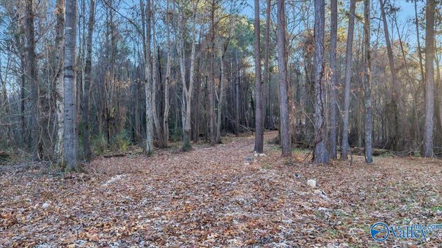 5.58 ac Rachel Drive, Langston, AL 35755