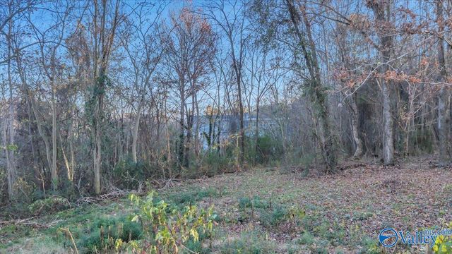 5.58 ac Rachel Drive, Langston, AL 35755