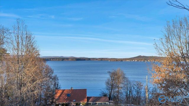 5.58 ac Rachel Drive, Langston, AL 35755