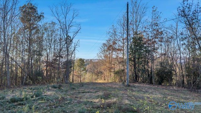 5.58 ac Rachel Drive, Langston, AL 35755
