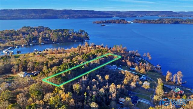 5.58 ac Rachel Drive, Langston, AL 35755