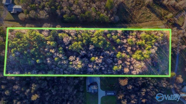 5.58 ac Rachel Drive, Langston, AL 35755