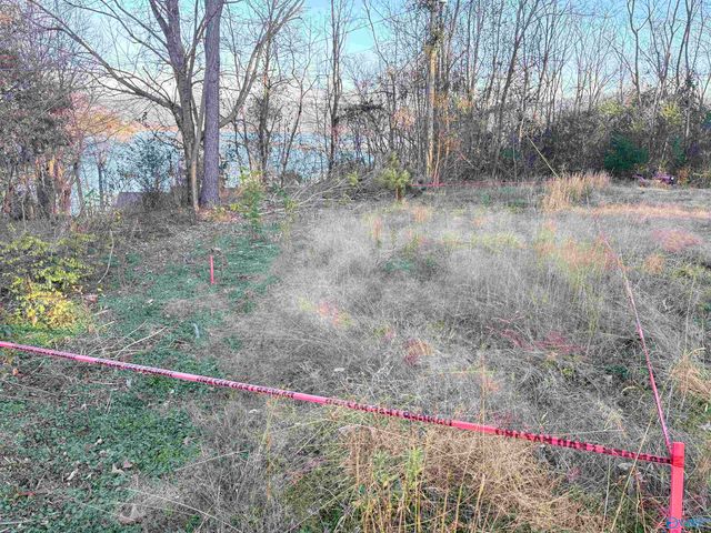 5.58 ac Rachel Drive, Langston, AL 35755