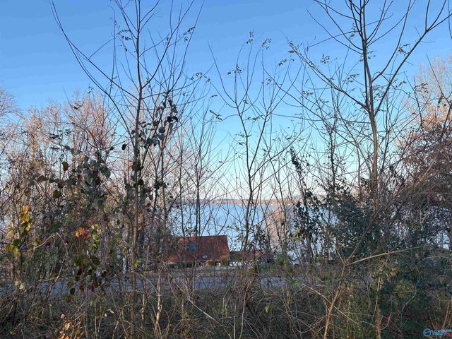 5.58 ac Rachel Drive, Langston, AL 35755