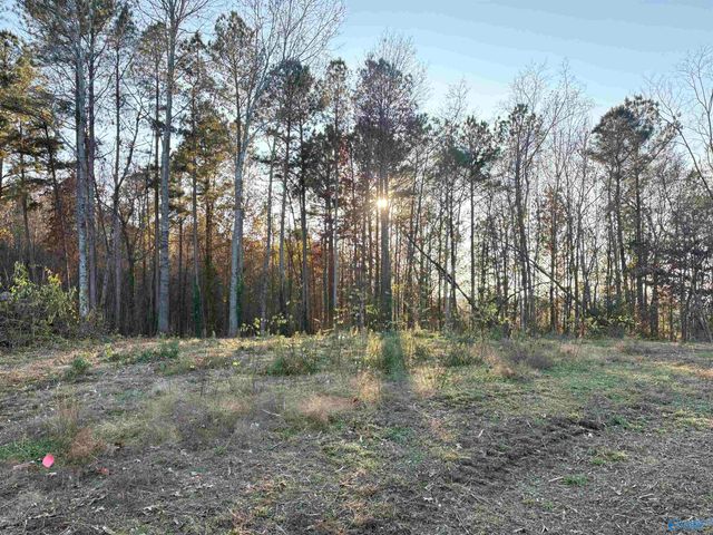 5.58 ac Rachel Drive, Langston, AL 35755