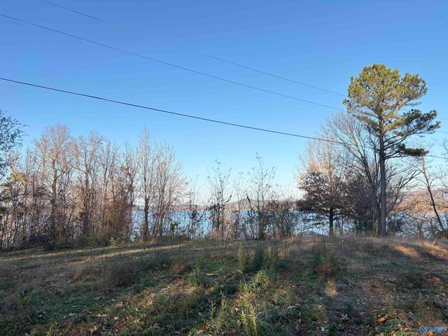 5.58 ac Rachel Drive, Langston, AL 35755
