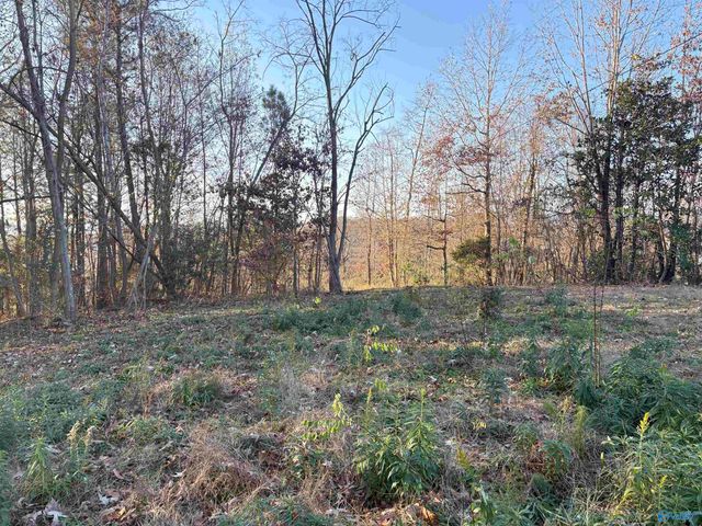 5.58 ac Rachel Drive, Langston, AL 35755