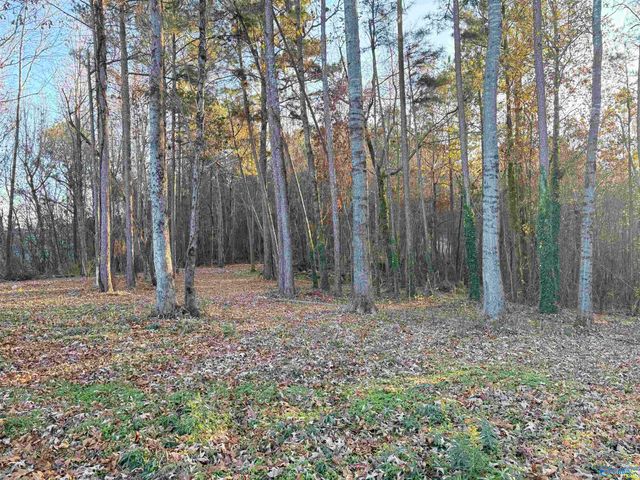 5.58 ac Rachel Drive, Langston, AL 35755