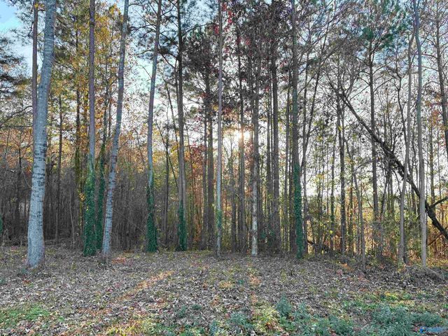 5.58 ac Rachel Drive, Langston, AL 35755