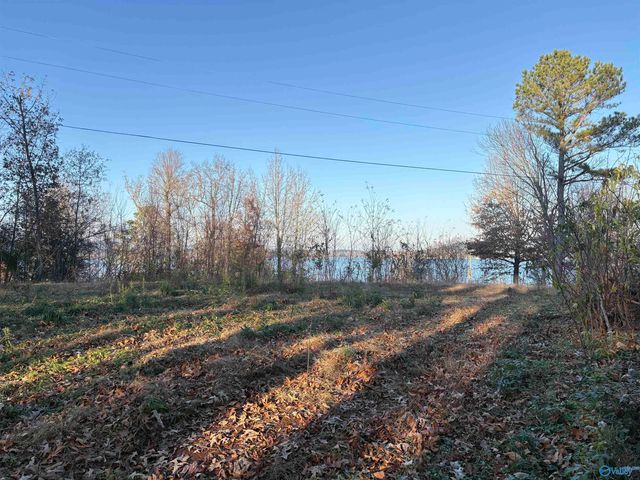 5.58 ac Rachel Drive, Langston, AL 35755