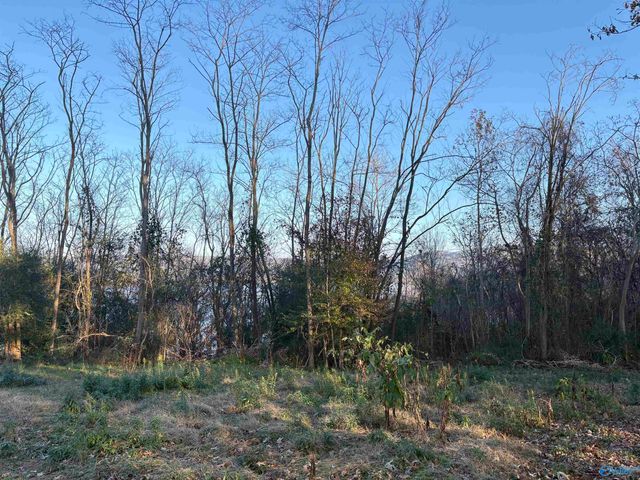 5.58 ac Rachel Drive, Langston, AL 35755