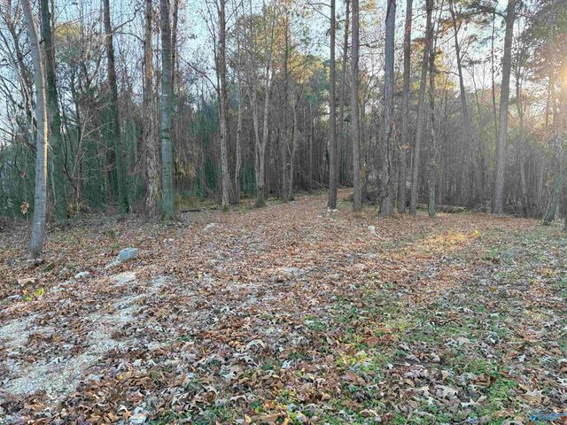 5.58 ac Rachel Drive, Langston, AL 35755