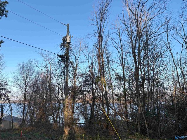 5.58 ac Rachel Drive, Langston, AL 35755