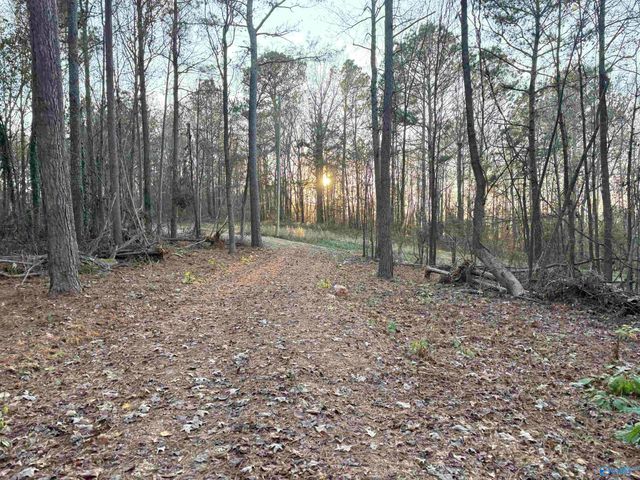 5.58 ac Rachel Drive, Langston, AL 35755