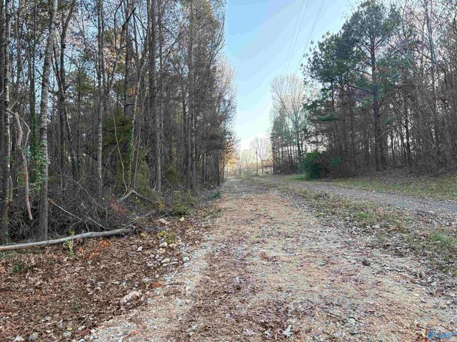 5.58 ac Rachel Drive, Langston, AL 35755