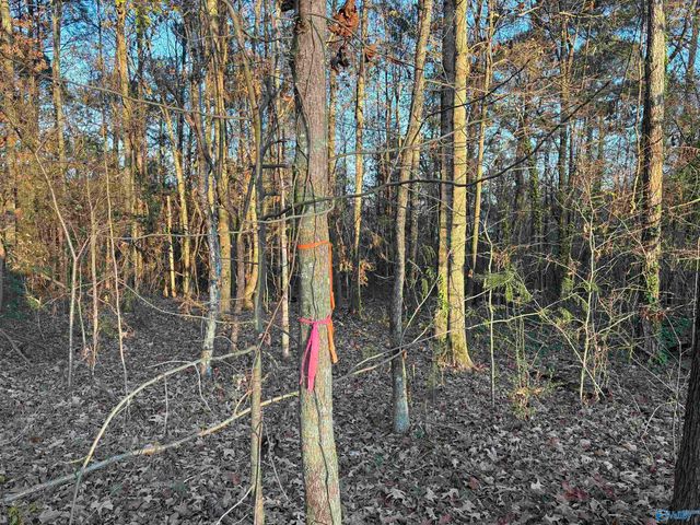 5.58 ac Rachel Drive, Langston, AL 35755