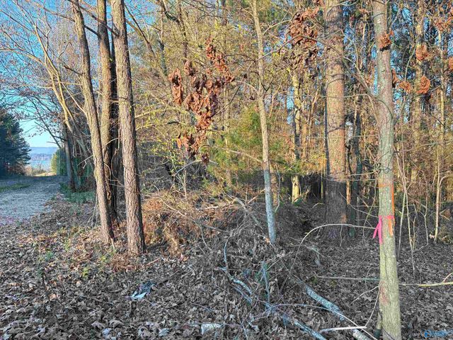 5.58 ac Rachel Drive, Langston, AL 35755