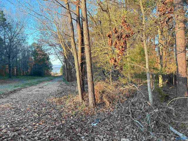 5.58 ac Rachel Drive, Langston, AL 35755