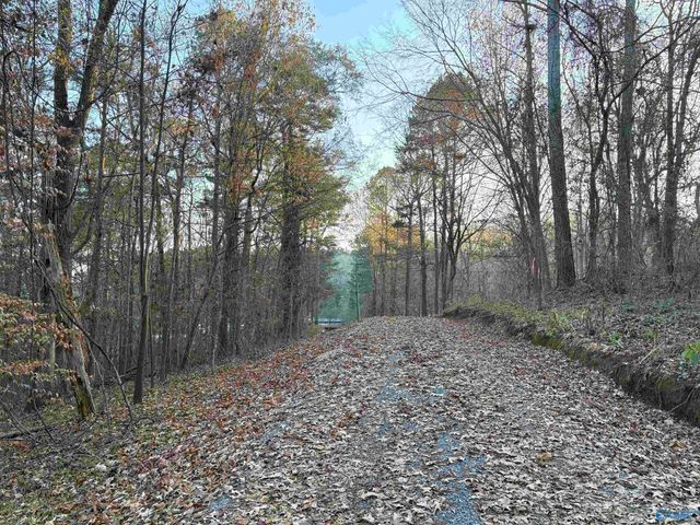 5.58 ac Rachel Drive, Langston, AL 35755