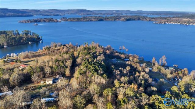 5.58 ac Rachel Drive, Langston, AL 35755