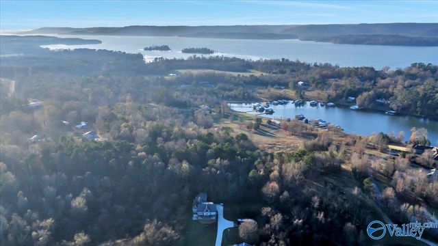 5.58 ac Rachel Drive, Langston, AL 35755