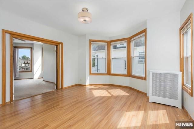 97 Dewitt Avenue 2, Belleville, NJ 07109