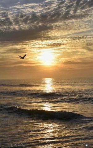 1914 Lark Dr., Surfside Beach, SC 29575