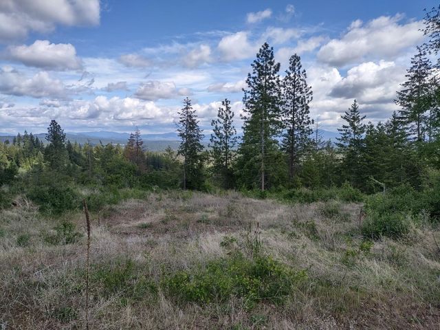xx Ranch Rd, Loon Lake, WA 99148