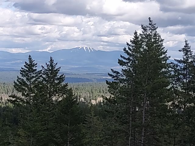 xx Ranch Rd, Loon Lake, WA 99148