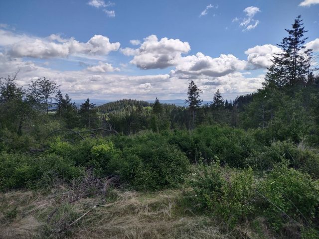 xx Ranch Rd, Loon Lake, WA 99148