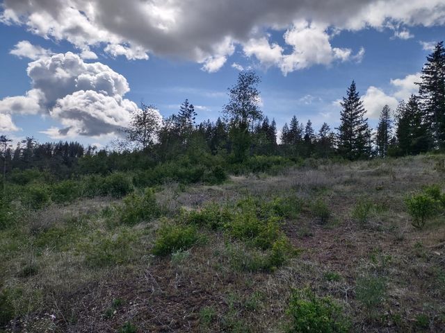 xx Ranch Rd, Loon Lake, WA 99148