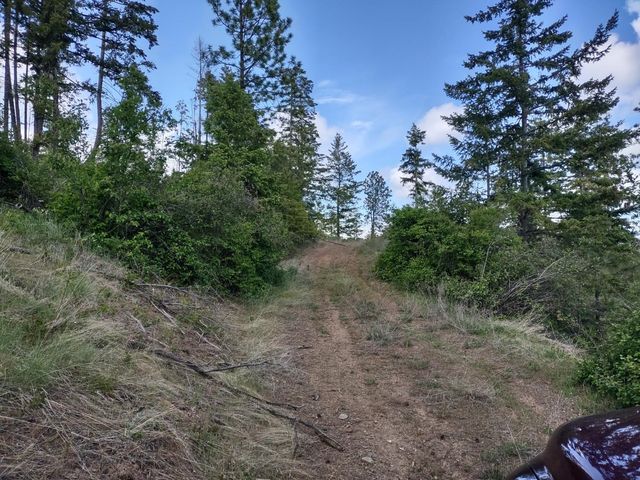 xx Ranch Rd, Loon Lake, WA 99148