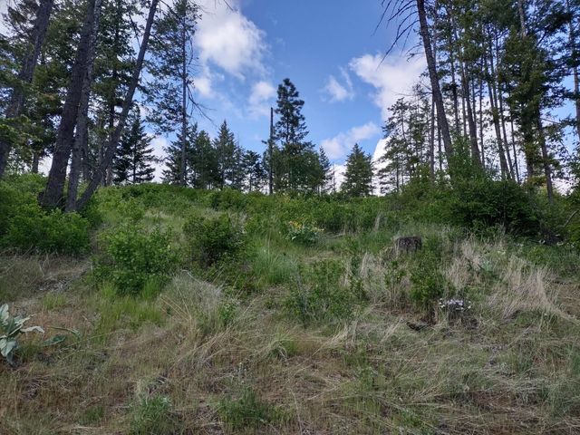 xx Ranch Rd, Loon Lake, WA 99148