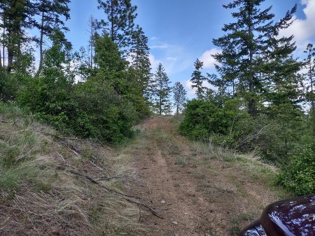 xx Ranch Rd, Loon Lake, WA 99148