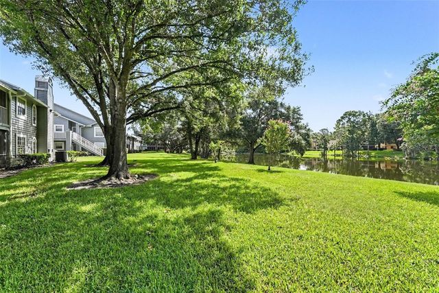 11805 SKYLAKE PLACE C, Tampa, FL 33617