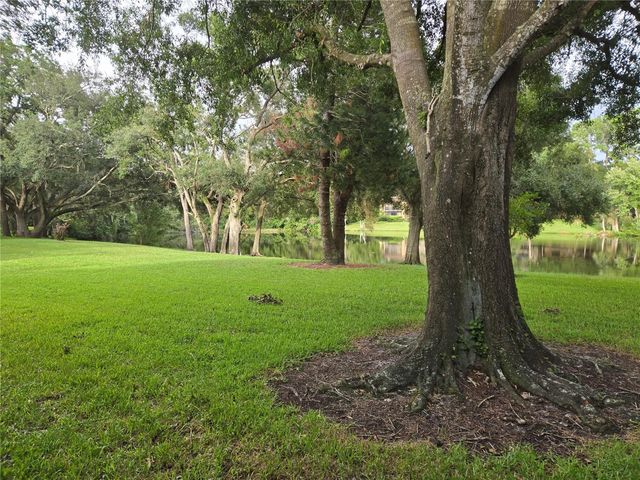 11805 SKYLAKE PLACE C, Tampa, FL 33617
