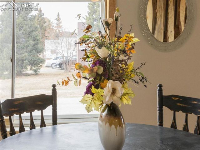 101 W Galena Avenue, Cripple Creek, CO 80813