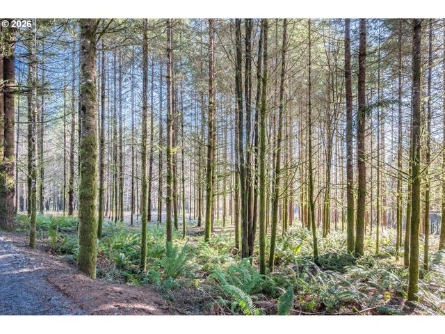 0 Bunker Hill Rd B, Longview, WA 98632