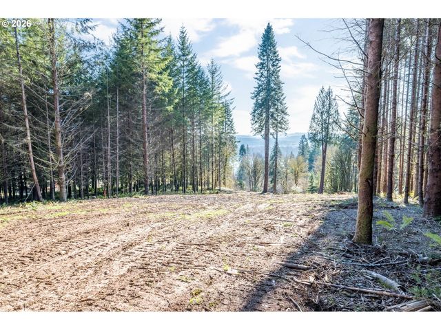 0 Bunker Hill Rd B, Longview, WA 98632