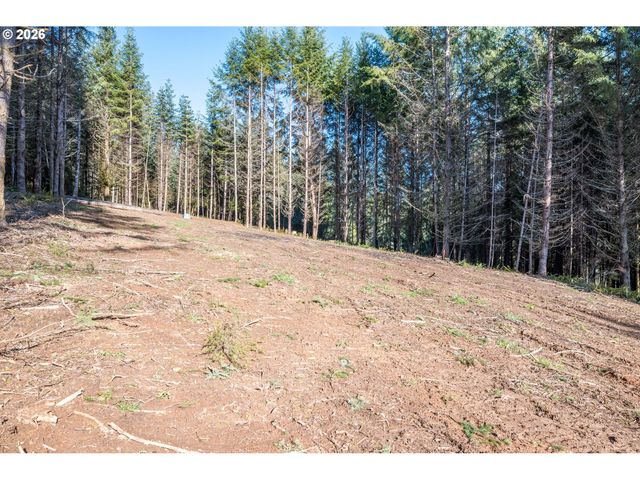 0 Bunker Hill Rd B, Longview, WA 98632