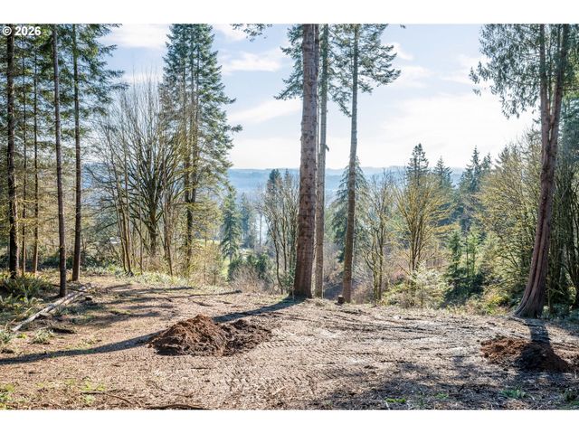 0 Bunker Hill Rd B, Longview, WA 98632