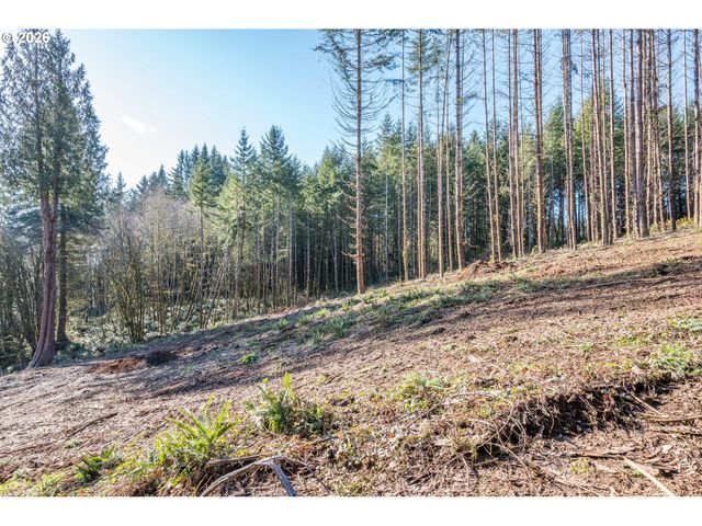 0 Bunker Hill Rd B, Longview, WA 98632