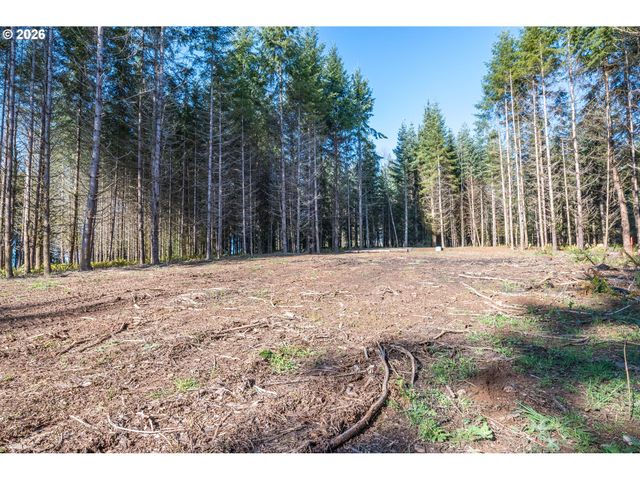 0 Bunker Hill Rd B, Longview, WA 98632