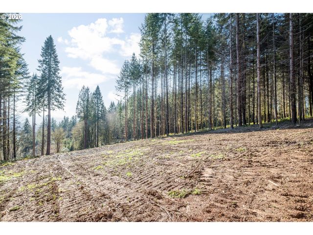 0 Bunker Hill Rd B, Longview, WA 98632