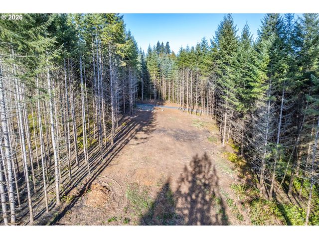 0 Bunker Hill Rd B, Longview, WA 98632