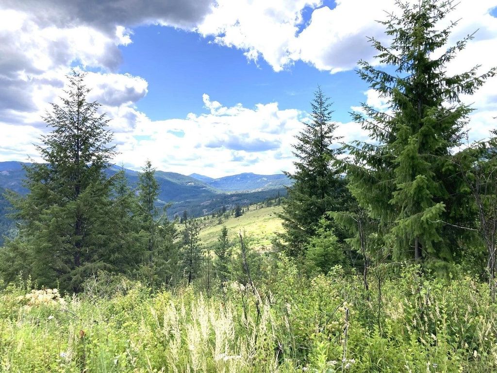 #T BUFFY Ln, Inchelium, WA 99138 photo 2